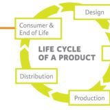 Life Cycle of a Graphic Design Project